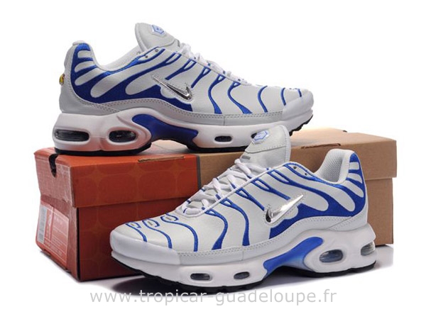 tn requin bleu et blanc