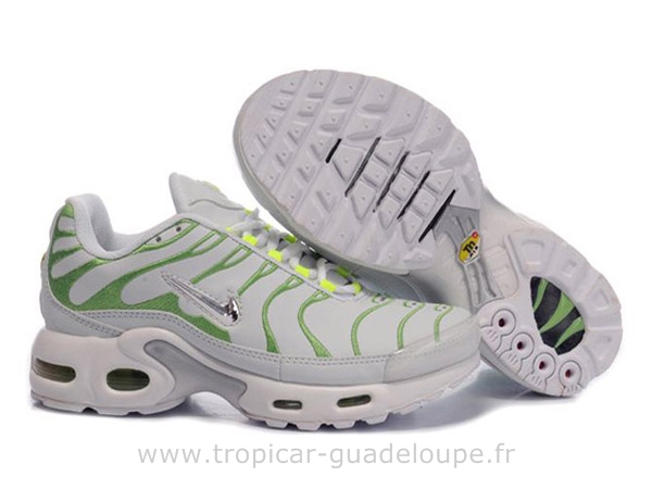 new tn requin