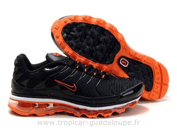 site tn requin