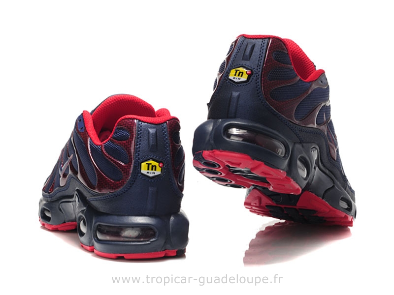 tn requin cool