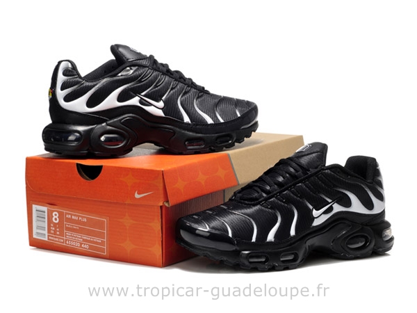 site officiel tn requin