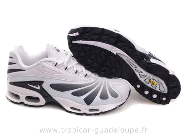 tn requin taille 39