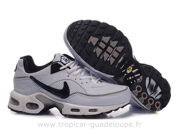 acheter des tn requin