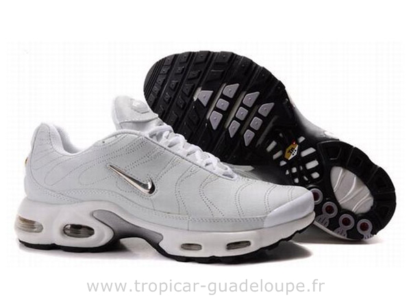 acheter des tn requin