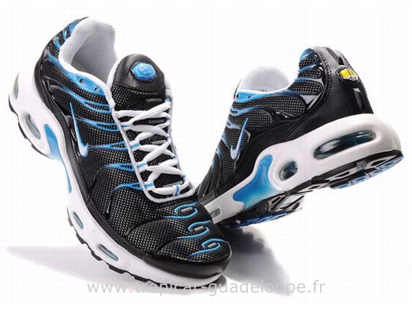 acheter des tn requin