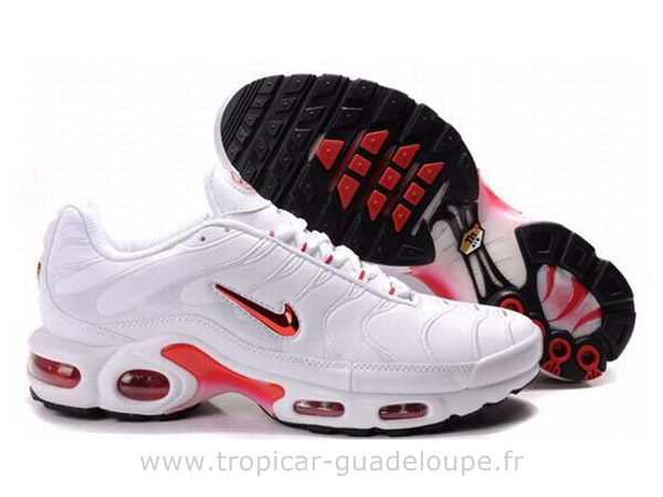 tn requin 2011