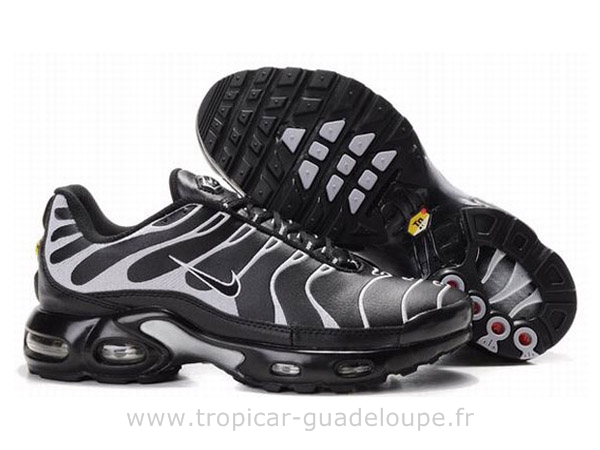 requin tn pas chere