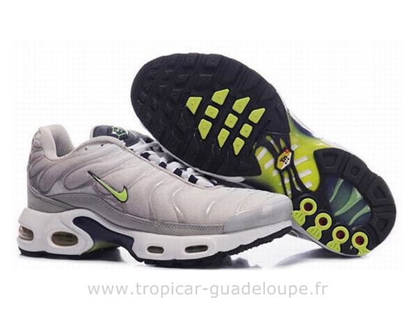 site tn requin