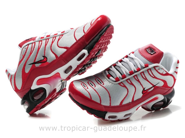 tn requin vrai