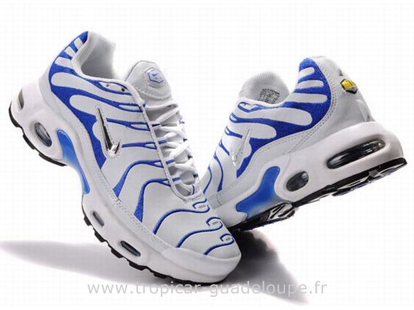 vrai tn requin